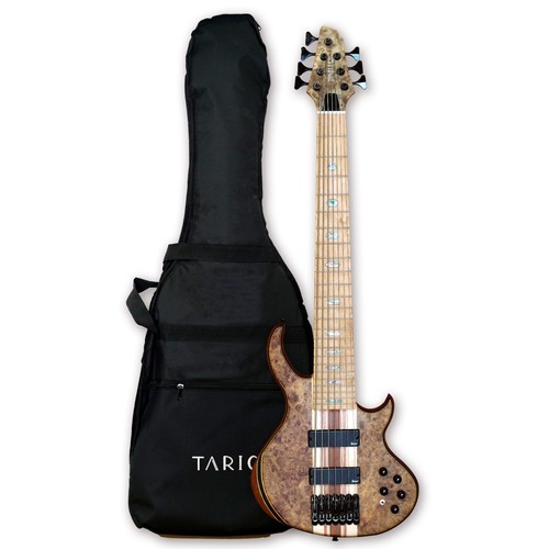 String electric bass guitar - bass,