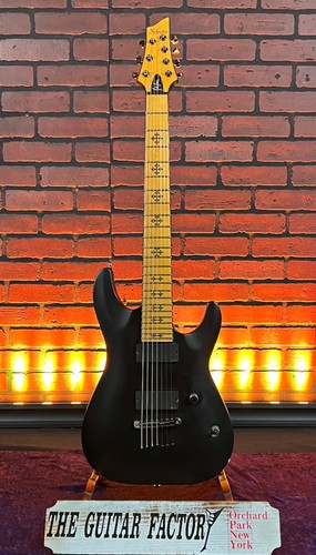 2010 schecter jeff loomis - 2010,